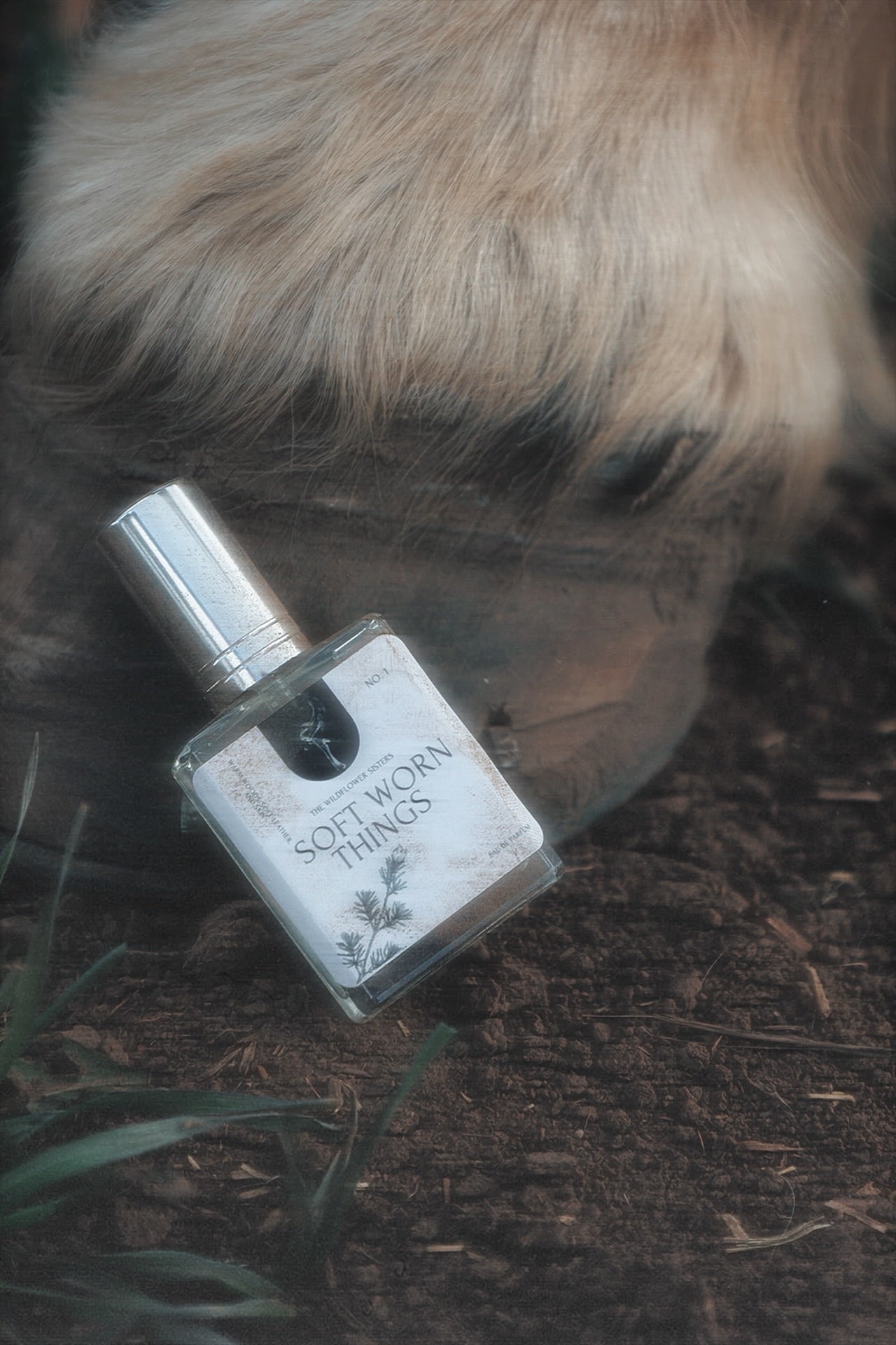 Soft Worn Things - eau de parfum